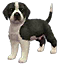 The preview icon for the Great Dane shown in the Kennel.