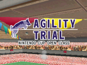 Agility trial open class screen