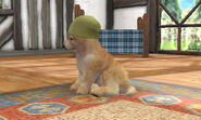 (3DS) A Golden Retriever wearing the Men's Knit Hat