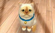 -Nintendogs Cats- Precious2