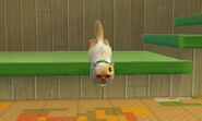 A cat jumping off the stairs of the Mario Style.