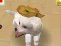 A white poodle wearing the ten gallon hat in the beta version