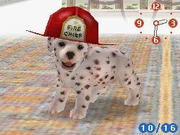 DalmatianFiremanHat