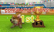 1st Place. Confetti rains down, and your dog may howl