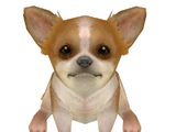 List of Tricks in Nintendogs