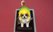 A dog on the 'Link' AR Card wearing Link's hat and signature yellow wig.