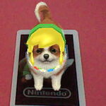 nintendogs ar card