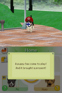 (DS) Miyamoto's puppy Pic greeting the player.