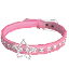 StarCollarIcon3DS
