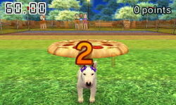 Nintendogs frisbee shop