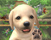 AssistNintendog