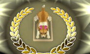 The Nintendogs Cup (Gold)