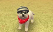 MikhailRedScarf