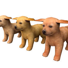 Nintendogs golden retriever clearance