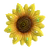 SunflowerIcon3DS