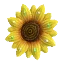 SunflowerIcon3DS