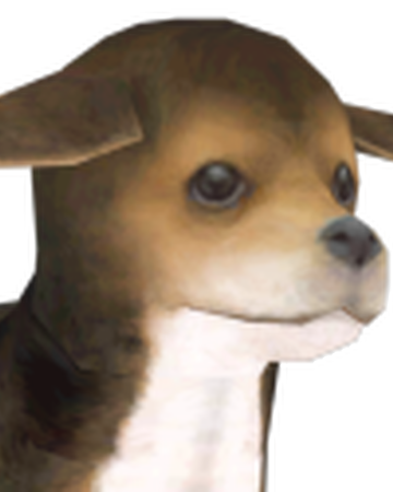 Beagle | Nintendogs Wiki | Fandom