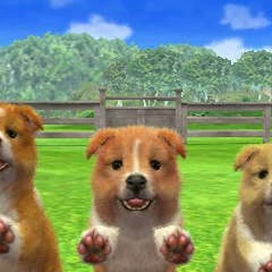 battersea rehoming centre