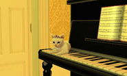 A cat resting on the piano keys.