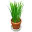 CatGrassIcon