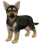 The preview icon for the German Shepherd shown in the Kennel.