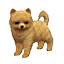 The preview icon for the Pomeranian shown in the Kennel.