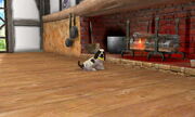 Dog by fireplace
