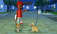 Nintendogs+Cats 002