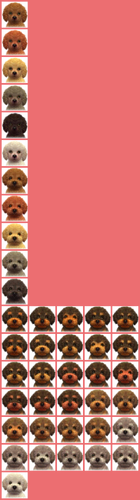 Toy Poodle Nintendogs Wiki Fandom