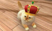 (3DS) Precious wearing the Crown.