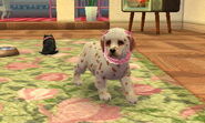 (3DS) A Labrador Retriever wearing the Red-Checkered Bow.