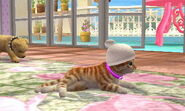 (3DS) A Standard Cat wearing the White Knit Hat
