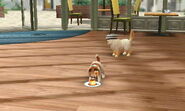 Nintendogs+Cats 028