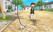 -Nintendogs Cats- Stella