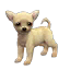 The preview icon for the Chihuahua shown in the Kennel.