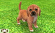 Copper Surprise Beagle in 3DS Version