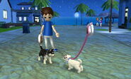 -Nintendogs Cats- Sasha