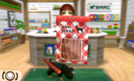 Nintendogs + Cats