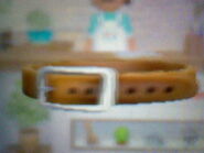 Brown Leather Collar (3DS)