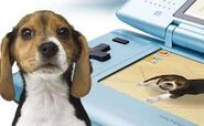 The beagle was used as a mascot to advertise the Nintendogs Best Friends game.