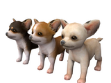 Starter Breeds