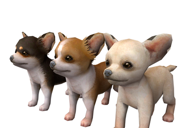 Nintendogs maltese discount