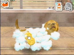 Bath | Nintendogs Wiki | Fandom