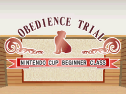 Obedience - beginner start