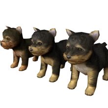 yorkshire terrier nintendogs