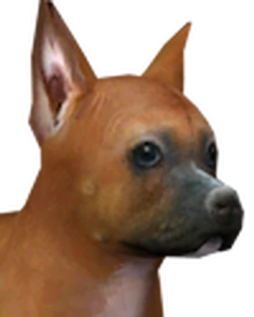 market medley rabbit diet