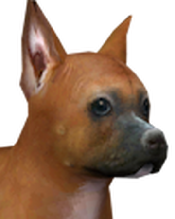 Boxer Nintendogs Wiki Fandom