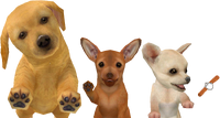 PuppyBanner.png