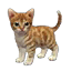 The preview icon for the Standard Cat shown in the Kennel.