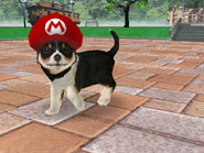 (DS) Pic wearing the Red Hat.